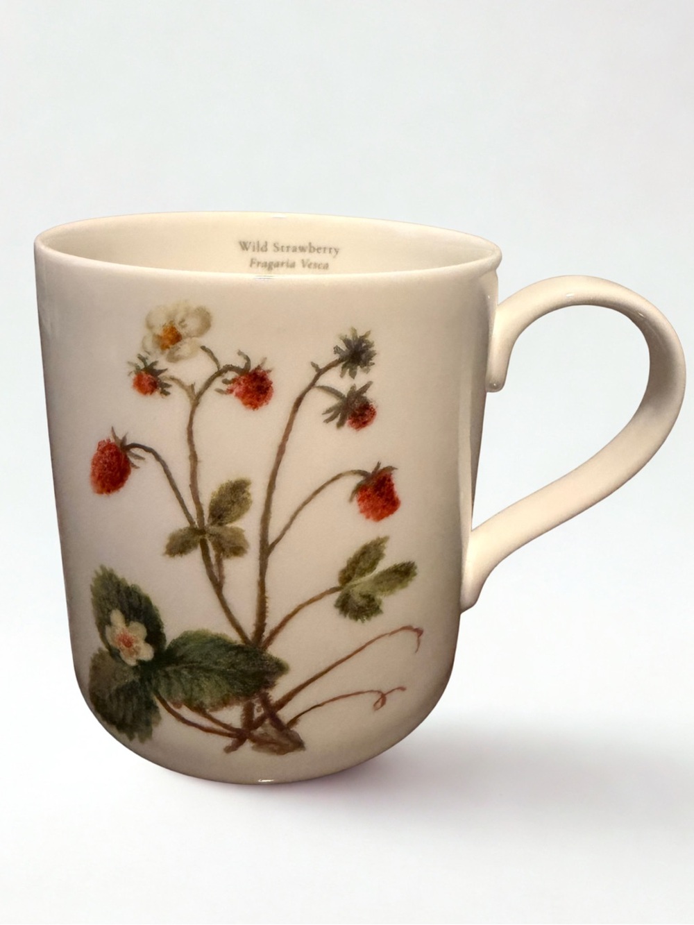 Botanical Ceramic Mug - White with Red Accents